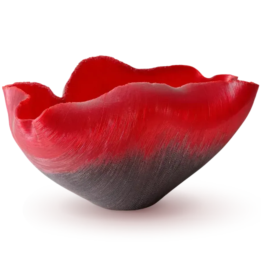 Papavero